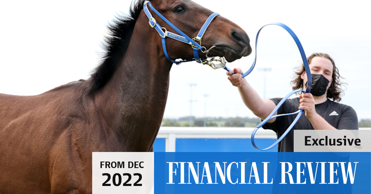 Sportsbet under investigation for dodging online betting rules